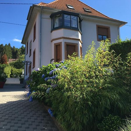 דירות Barembach Les Magnolias En Alsace - Meuble De Tourisme 3 Etoiles מראה חיצוני תמונה