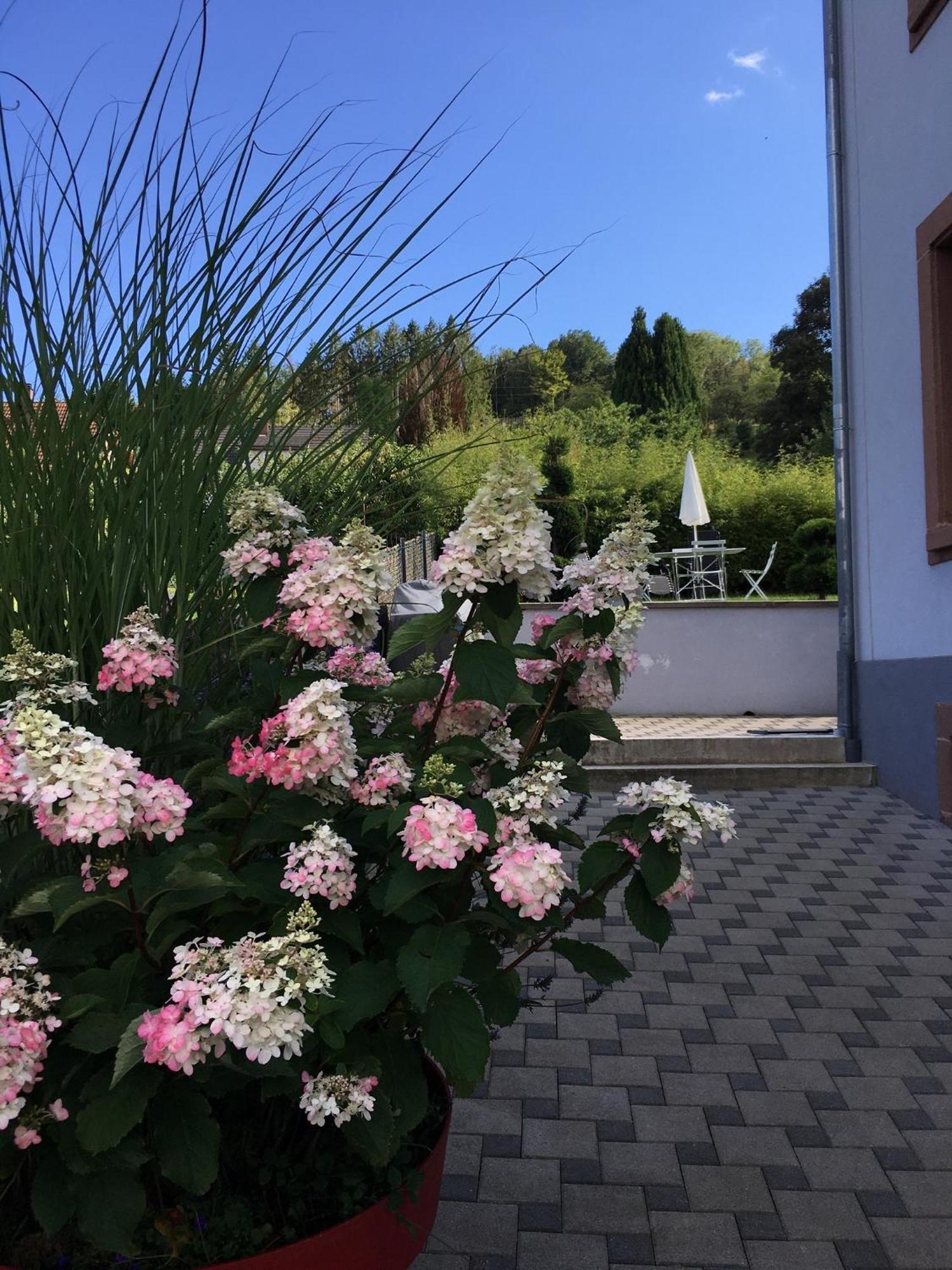 דירות Barembach Les Magnolias En Alsace - Meuble De Tourisme 3 Etoiles מראה חיצוני תמונה