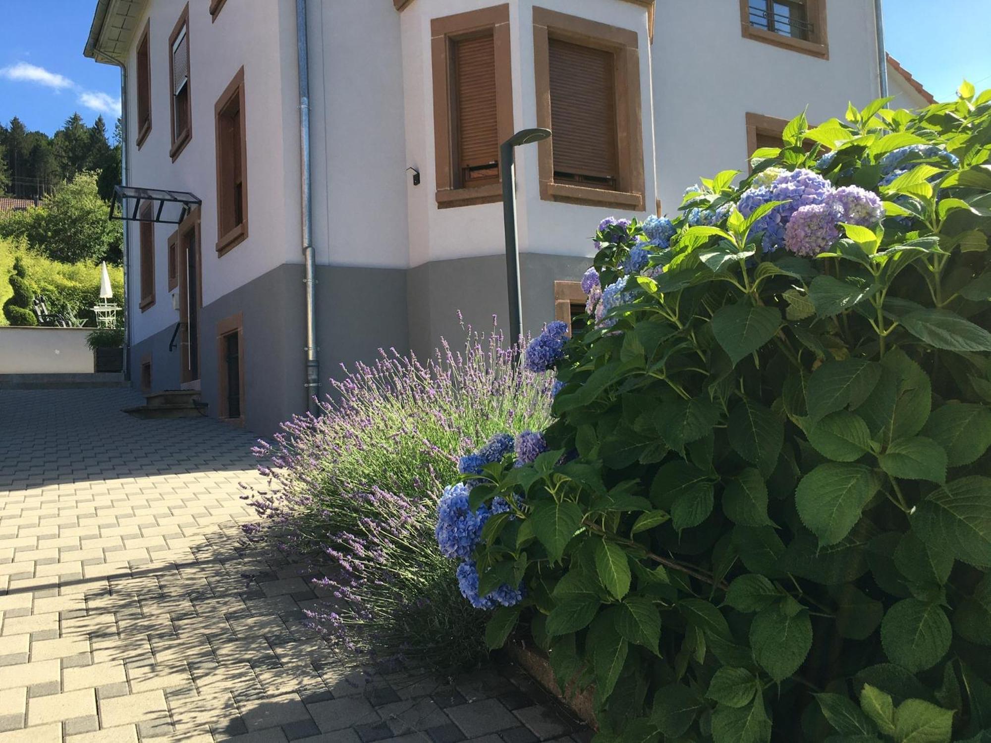 דירות Barembach Les Magnolias En Alsace - Meuble De Tourisme 3 Etoiles מראה חיצוני תמונה